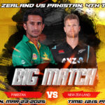 New Zealand vs Pakistan, 4th T20I
